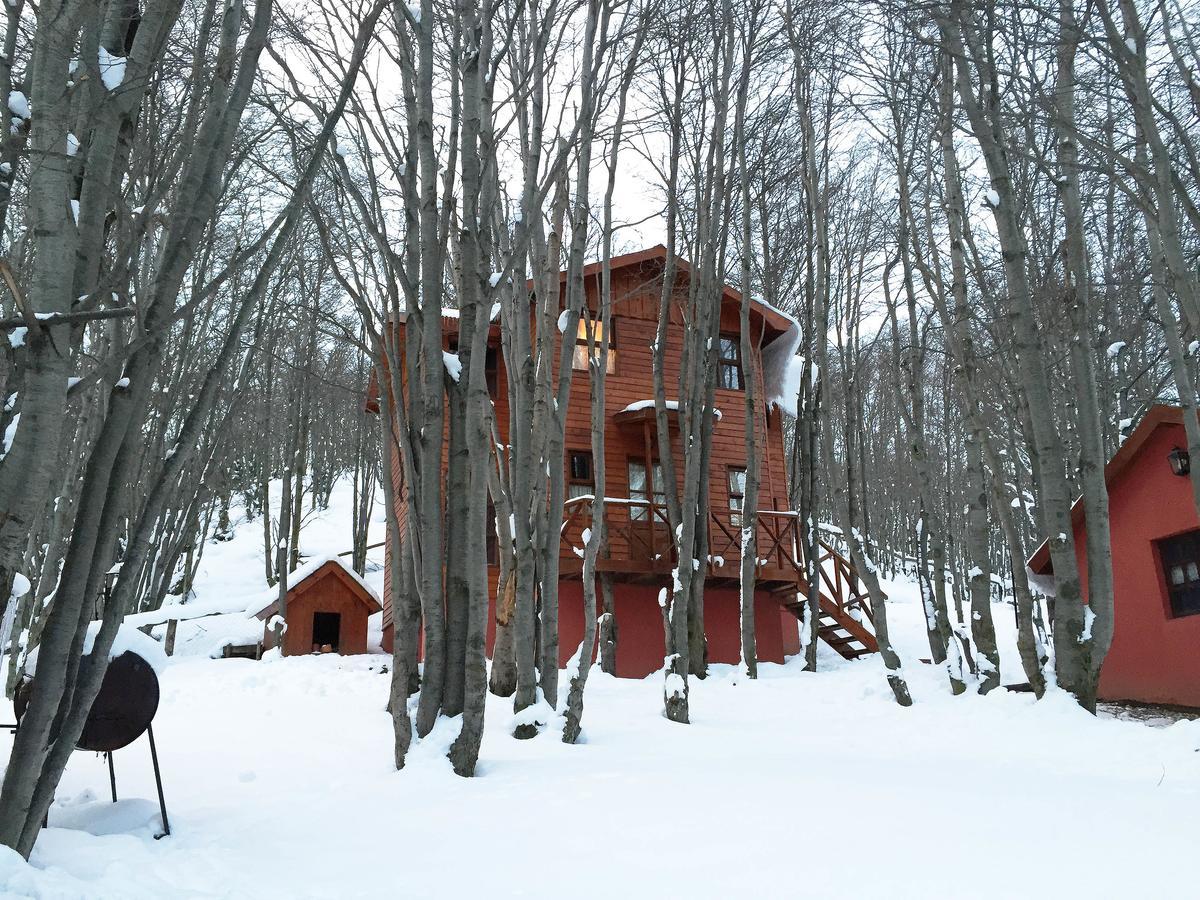 Cabanas Bosque Del Faldeo Ushuaia Exterior photo